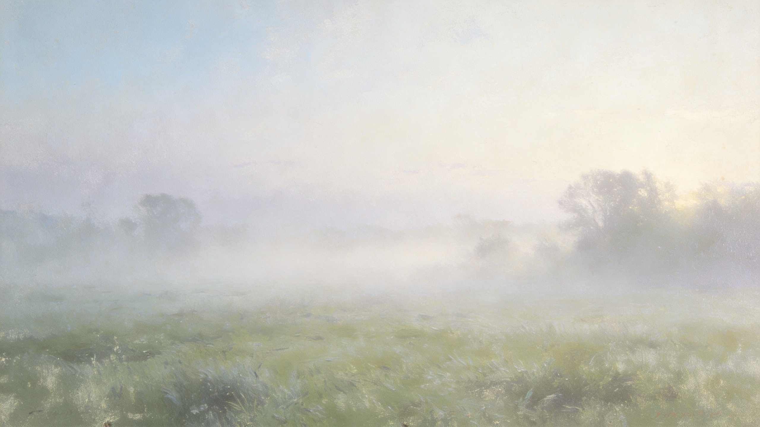 Misty landscape study in morning light